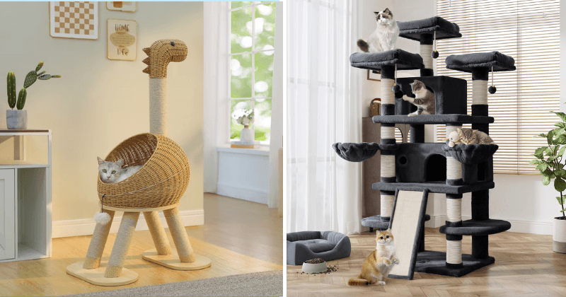 Các mẫu nhà cho mèo phổ biến và được ưa chuộng hiện nay