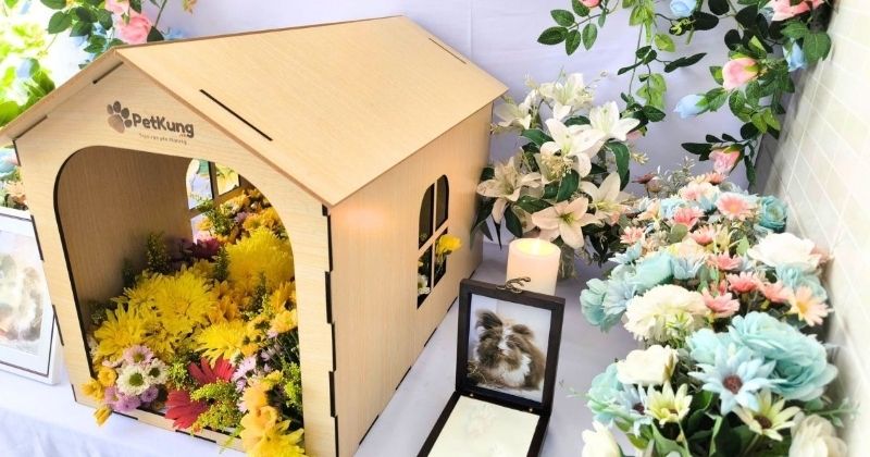 Cách kiểm tra dịch vụ hỏa táng thú cưng minh bạch