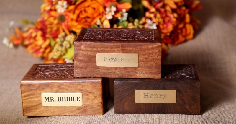 Bản đồ khu vực phục vụ hỏa táng thú cưng Bình Hưng Hòa