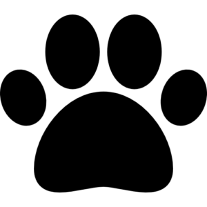 icon dongvat