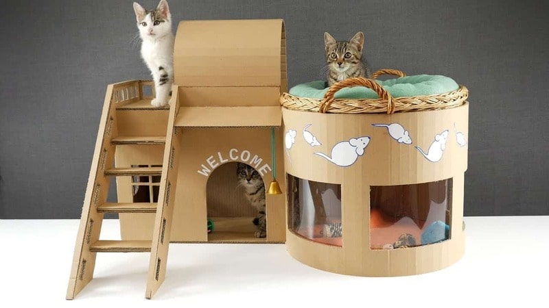Cách bố trí nội thất bên trong ổ mèo bằng thùng carton