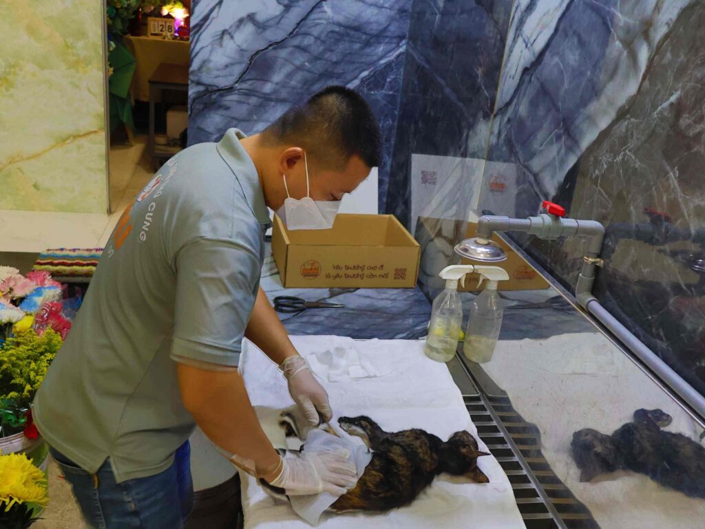 Vệ sinh cơ thể, khâm liệm cho thú cưng