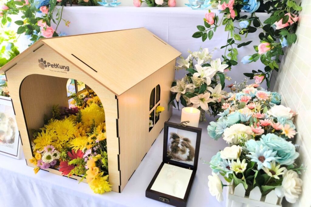 Chi phí hỏa táng chó mèo Hà Nội